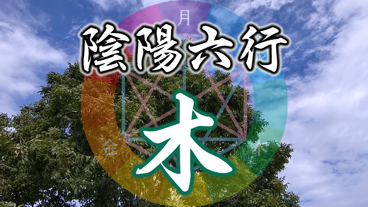 陰陽六行『木氣質』とは…