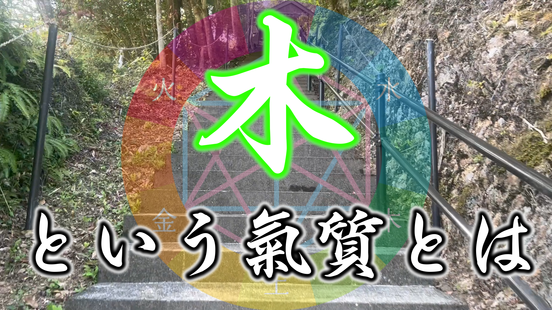 【有料会員様限定】　陰陽六行『木氣質』